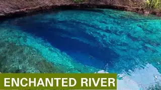 Enchanted River and Fish feeding View | Hinatuan, Surigao del Sur