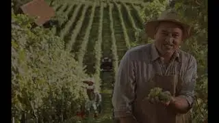 What is fine wine investment?