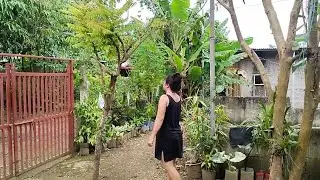 Beautiful white girl looking around on her backyard after vacation.province of palawan