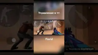 ВИДЕО НА КАНАЛЕ | УПРАВЛЕНИЕ В ТГ: florid