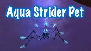 Aqua Strider Pet Guide (World of Warcraft)