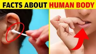 10 Amazing Facts in Human Body | Facts video in Hindi by Dilip Rathee
