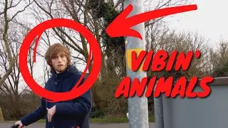 GEOCACHING GONE WRONG (CURSED) - TikTok Funny Compilation Must Watch