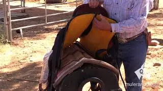 The Canyon Rider Pro Saddle for Mules and Donkeys
