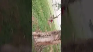 2 roads shush bush