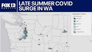 Washington sees late summer COVID surge | FOX 13 Seattle
