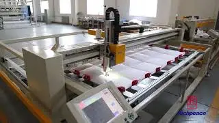 Computerized Head Adjustable Height Single Head Quilting Machine