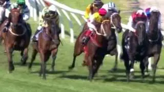 2010 Aust Guineas  Rock Classic