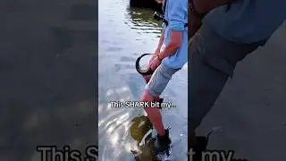 Смешная рыбка #длятебя #смешно #жизньживотных #рыба