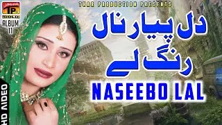 Naseebo Lal - Dil Pyar Naal Rang Le - نصیبو لعل سرائیکی سپرہٹ نیو سونگ Marziyan Wala Dhola -Album 11
