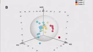 2018 Cholangiocarcinoma Foundation Annual Conference #17 - Day 2 - IDH Mutations