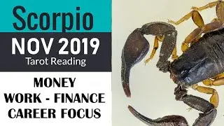 Scorpio - NOVEMBER 2019 Tarot Reading MONEY CAREER FINANCE FOCUS