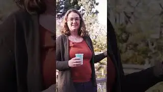 Origami Day Festival at the CSULB Japanese Garden