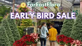 🌲Plant Shop Early Bird Sale 2025 | Live Christmas Trees | FarEastFloral Plant Shop Tour
