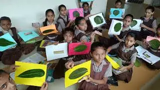 Social science || Activity || પ્રવૃતિ દ્વારા શિક્ષણ || Kanya Taluka School 🏫 Bhayavadar ||