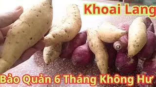 Những Cách Bảo Quản Khoai Lang Nữa Năm Không Hư.Mẹo Làm Cho Khoai Không Hư Và Nảy Mầm Hay Bị Thối Đi