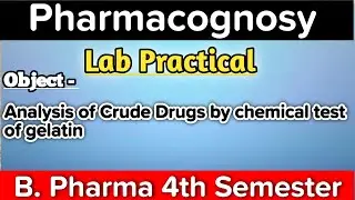 Analysis of crude drugs by chemical test of gelatin || Biuret test || Millon's Test || #labvideo