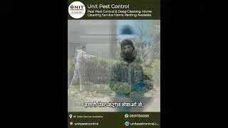 Pest Control Service in Delhi NCR