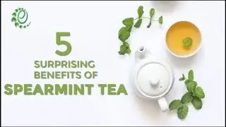 5 Surprising Benefits Of Spearmint Tea | Organic Facts