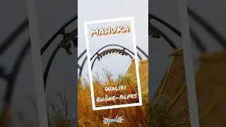 🎢 MAHUKA (Walibi Rh&ocirc;ne-Alpes)