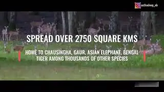 |Similipal forest fire| |Save the heart of odisha|