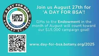 'A Day for BSA' 2025 &ndash; Jenny Xiang
