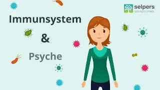 Immunsystem und Psyche - eine komplexe Wechselwirkung einfach erkl&auml;rt