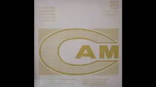 Armand Migiani & Renaldo Cerri - Comprendre... Pourquoi ? 1975