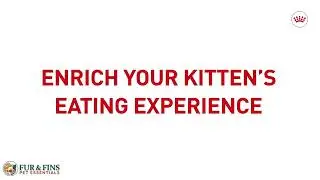 Royal Canin Cat - @ Fur & Fins Pet Essentials