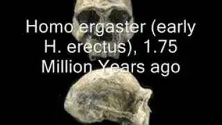 Evolution: Where's the missing link? (Ayrshire recording studio)