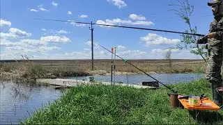Пытаюсь поймать карпа на ФИДЕР. Рыбалка в Самарской области 2024