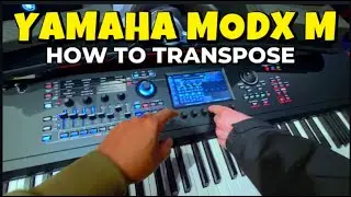 How To Transpose on Yamaha MODX M8 Keyboard