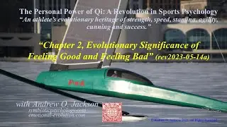 &ldquo;Chapter 2, Evolutionary Significance of Feeling Good and Feeling Bad&rdquo;