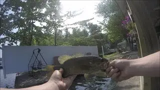 Masten lake smallmouth bass fishing