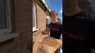 Re-pointing: Flush Pointing
