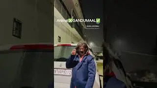 ANIMAL❎GANDUMAAL✅.      #animalmovie #ranveerkapoor #gandu #comedy #vreel #trandingshorts