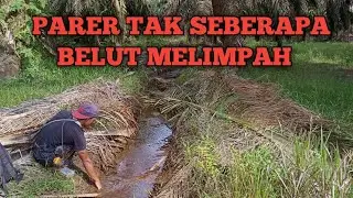 PARET TAK SEBERAPA, BELUT MELIMPAH WITH ANTU AER FISHING PROJECT