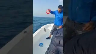١١ يناير ٢٠٢٦