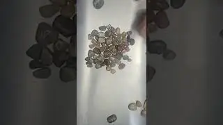 Small Polished Rocks from Vibratory Tumbler &ndash; Perfect for Coasters & Crafts!