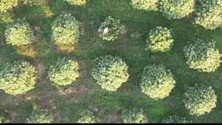 P30 Plant Protection UAS and XMission   Google Drive 2