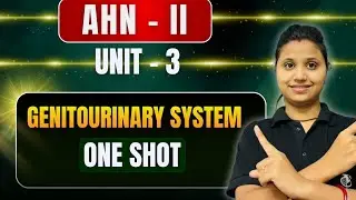 Revision One Shot Class - Unit 3 ( PART 1 ) | disorders of urinary system in hindi | AHN 2