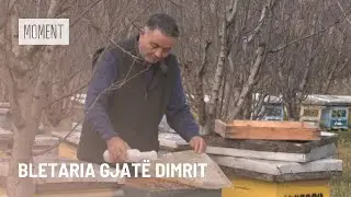 Bletaria gjatë dimrit
