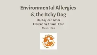 Veterinarian Advice - Environmental Allergies & the Itchy Dog