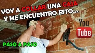 como collar CAJA de REGISTRO eléctrico.