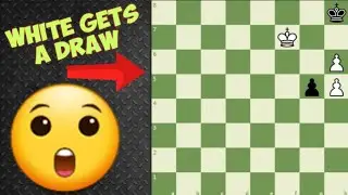 3 Chess Studies You WON'T BELIEVE! 💯 Tactics Training and Puzzles