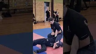 Bujin snippets from Buyu-Kai 2025 in Novi Becej #ninjutsu #bujinkan #ninja #martialarts