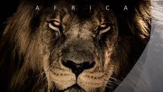 AFRICA Alessandro Dilas music composer