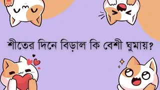 Do Cats Sleep More in the Winter ? শীতের সকালে  বিড়ালের ঘুম ∥ শীতের দিনে বিড়াল কি বেশী ঘুমায়?