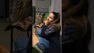 Филин Ёль ждёт отъезда домой после двух утомительных дней работы совой на выставке