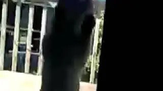 Yelling cat🐱
